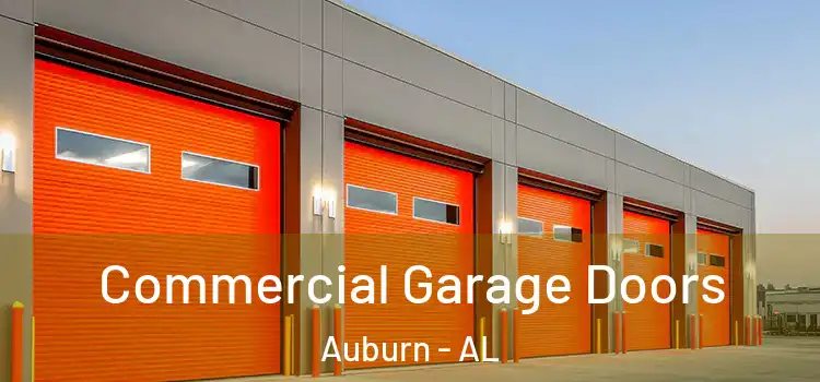  Commercial Garage Doors Auburn - AL