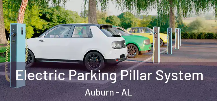 Electric Parking Pillar System Auburn - AL