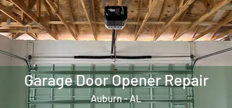  Garage Door Opener Repair Auburn - AL