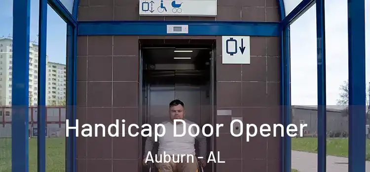  Handicap Door Opener Auburn - AL