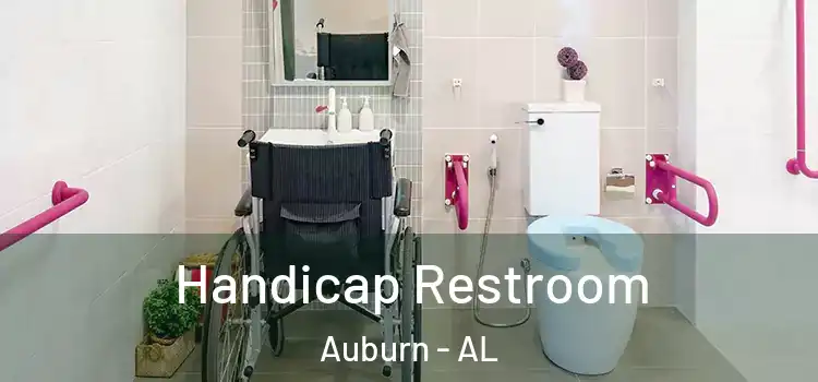  Handicap Restroom Auburn - AL