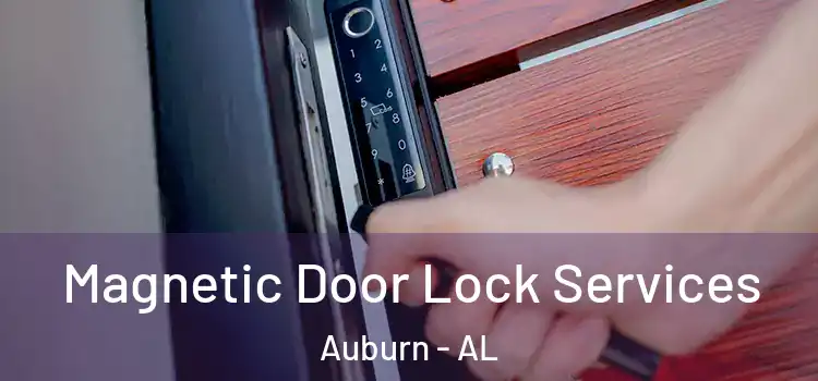Magnetic Door Lock Services Auburn - AL