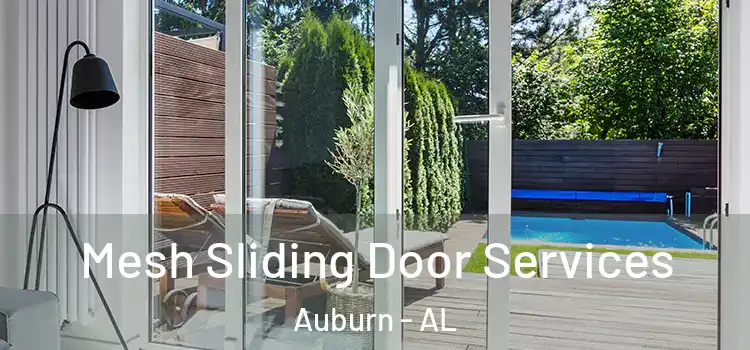  Mesh Sliding Door Services Auburn - AL