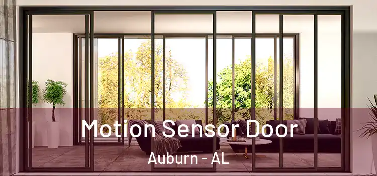 Motion Sensor Door Auburn - AL