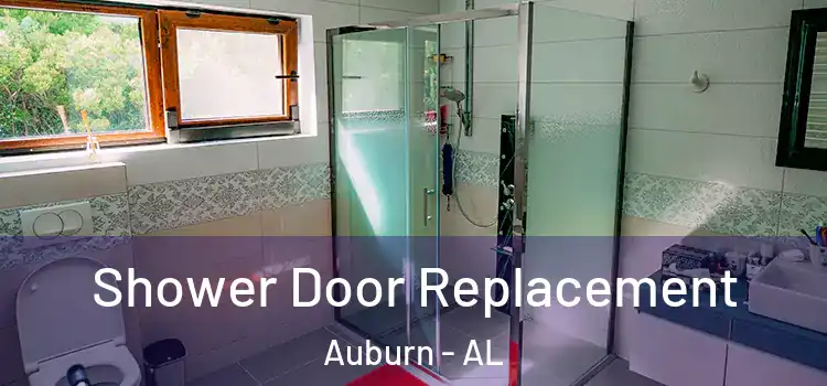 Shower Door Replacement Auburn - AL